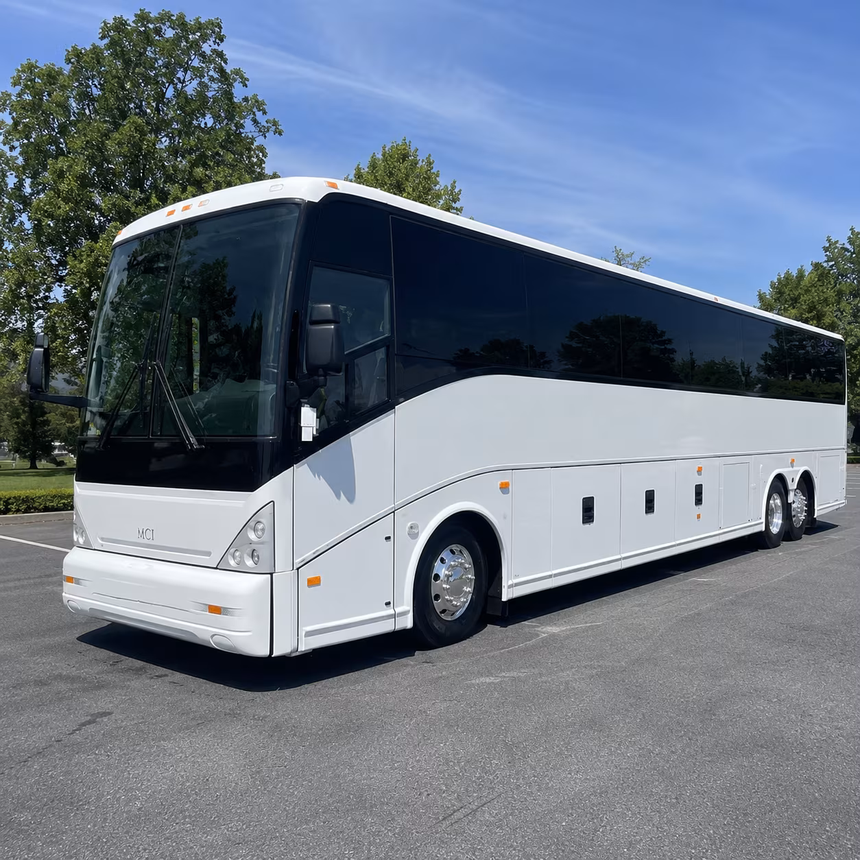 one search for your avondale group trip