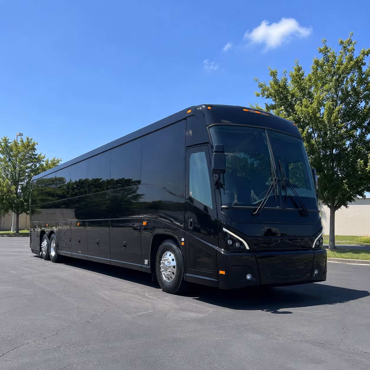 veterans medical transportation to the phoenix va health care system